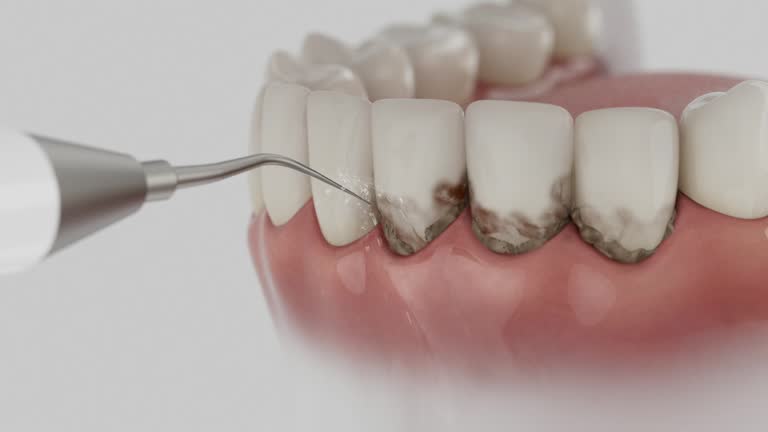 Reliable Dental contractor in Sweet Home, AR by Dentist Open Now